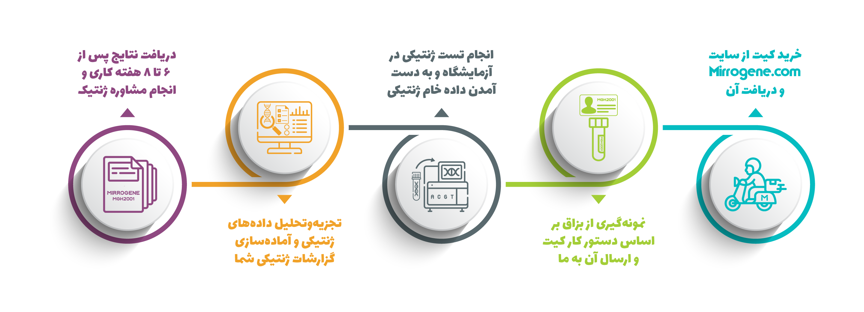 مراحل انجام تست سایت آزمایشگاه میروژن