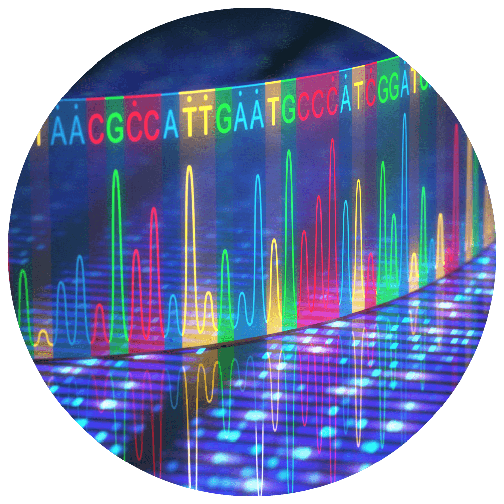 بررسی 85 میلیون ناحیه ژنتیکی